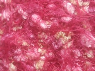 4cm Feather Yarn 100%Nylon +3.6nm Brushed Yarn 100%Polyester